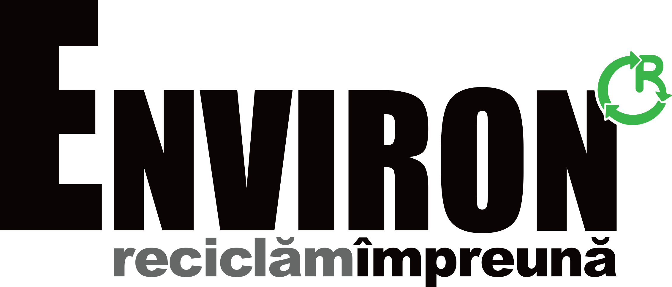Environ logo-Environ-2020-1.png